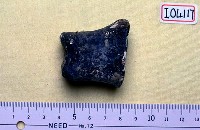 藏品(指骨(模)(早坂犀))的圖片